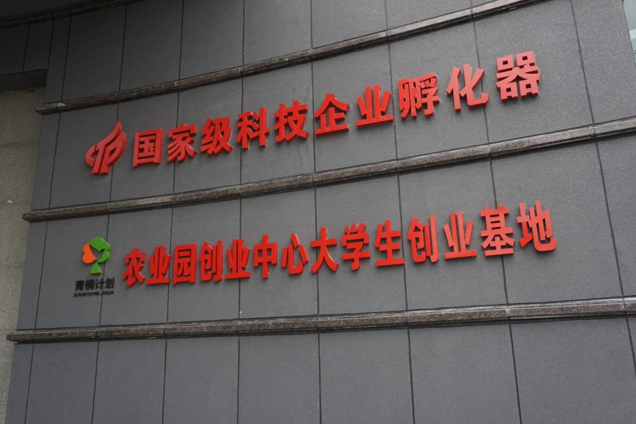 荣耀国际(中国区) - 官方网站