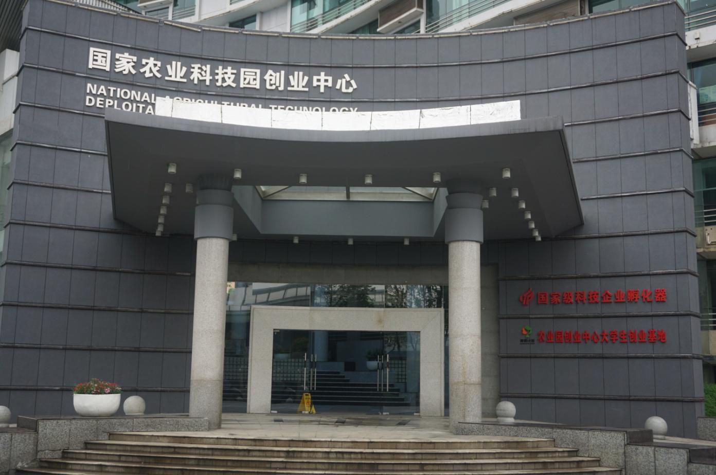 荣耀国际(中国区) - 官方网站